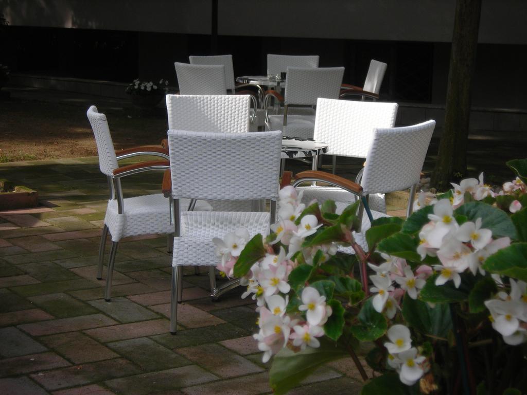 Hotel Plutone Τσέρβια Εξωτερικό φωτογραφία